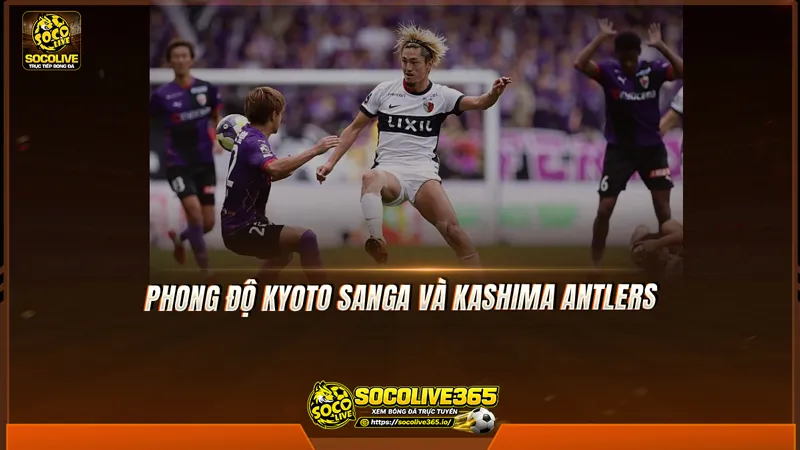 Phong độ Kyoto Sanga và Kashima Antlers được Socolive TV tổng hợp
