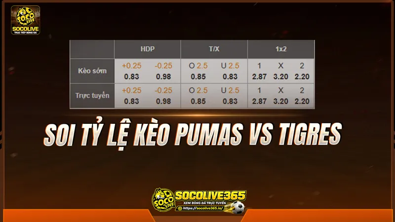 Soi tỷ lệ kèo Pumas vs Tigres 